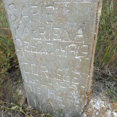 6. ? Sarie Katriena 1949-1950