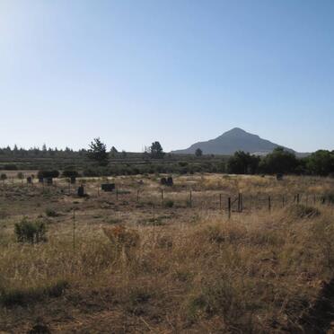 1. Oorsig oor grafte