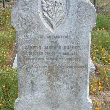 BURGER Alewyn Jakobus 1868-1903