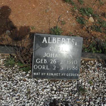 ALBERTS Carel Johannes 1910-1986