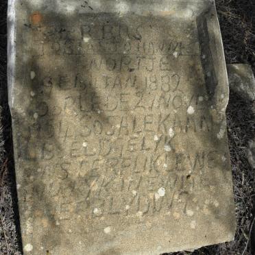 NORTJE Tobias Johannes 1882-1954