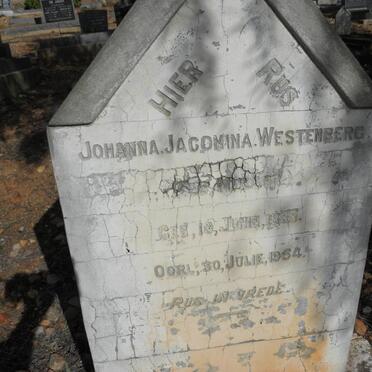 WESTENBERG Johanna Jacomina nee MULLER 1888-1954