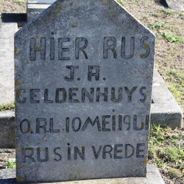 GELDENHUYS J.H. -1961