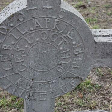 OTTO M.D. 1844-1920