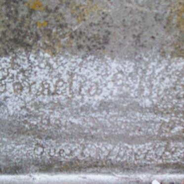 ? Cornelia