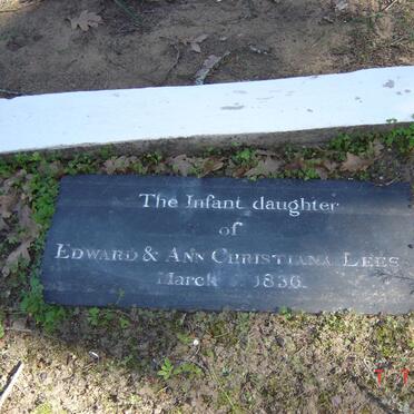 LEES Baby 1836-1836