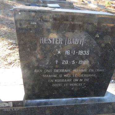 ? Christiaan J. 1944-1978 &amp; Hester 1935-1988