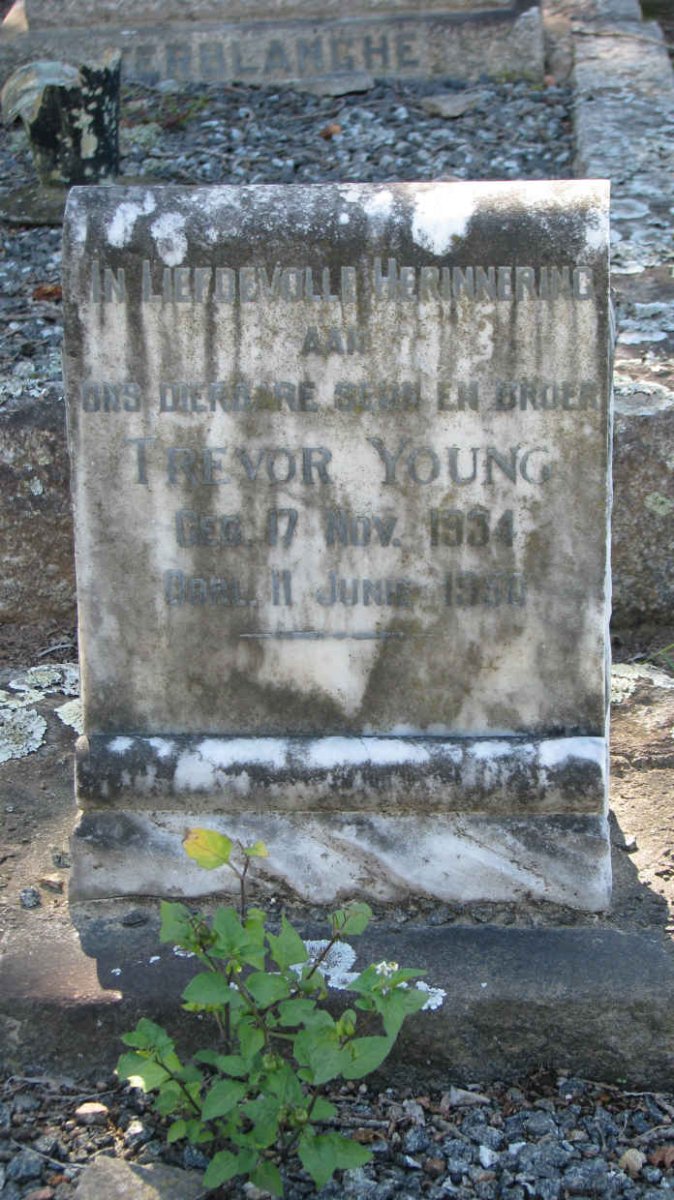 YOUNG Trevor 1934-1950