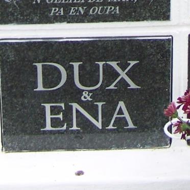 ? Dux &amp; Ena