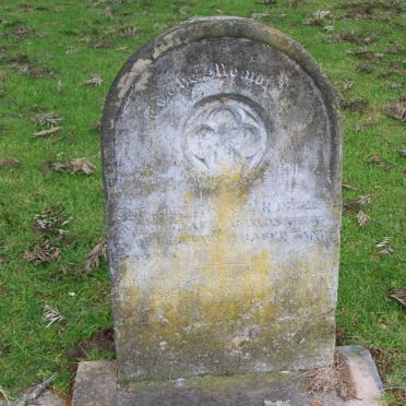 ? Elizabeth Sarah