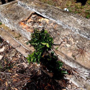 Unknown :: Illegible graves