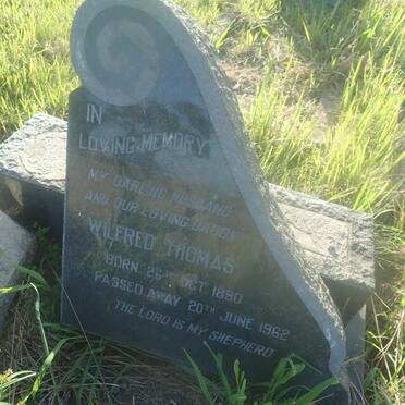 ? Wilfred Thomas 1890-1962