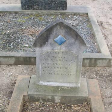 MESCHT Henry, van der -1927