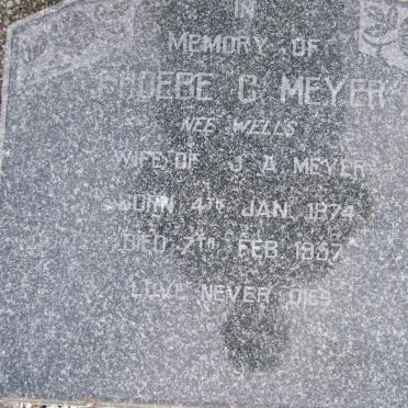 MEYER Phoebe C. nee WELLS 1874-1957