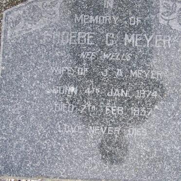 MEYER Phoebe C. nee WELLS 1874-1957