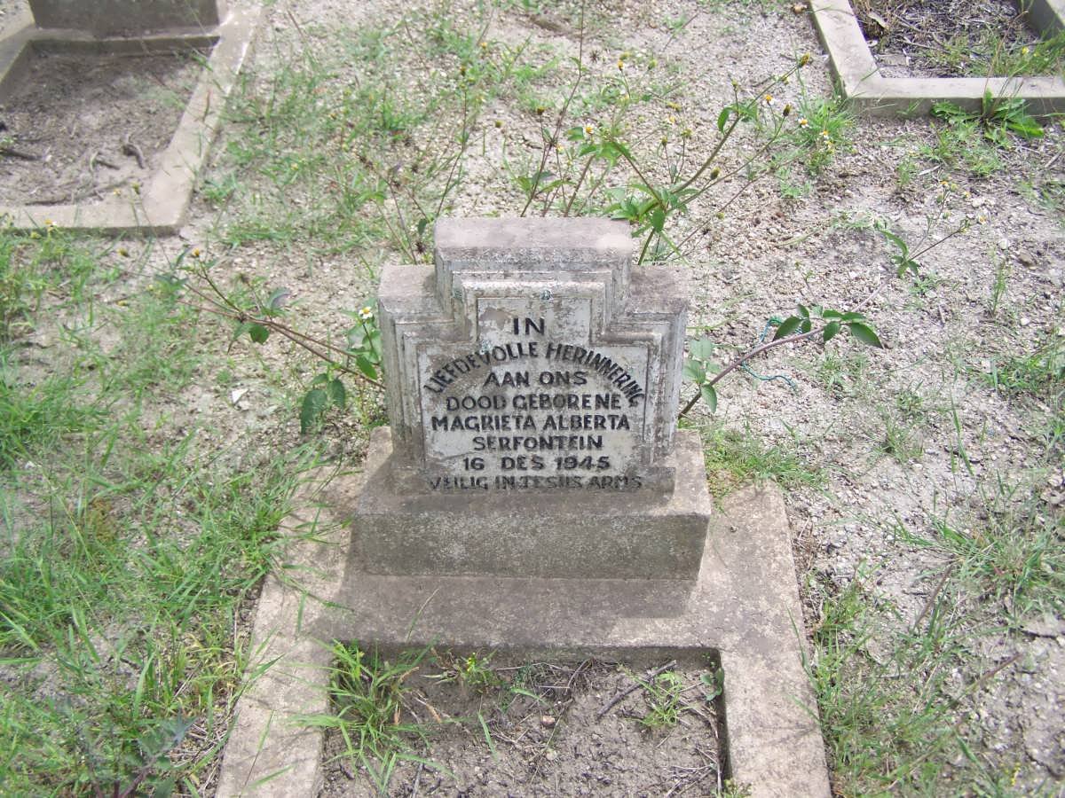 SERFONTEIN Magrieta Alberta 1945-1945