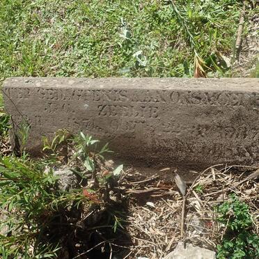 ZEELIE J.C. 1874-1937