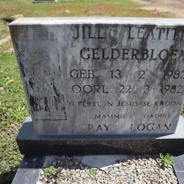 GELDERBLOEM Jill Leatitia 1982-1982