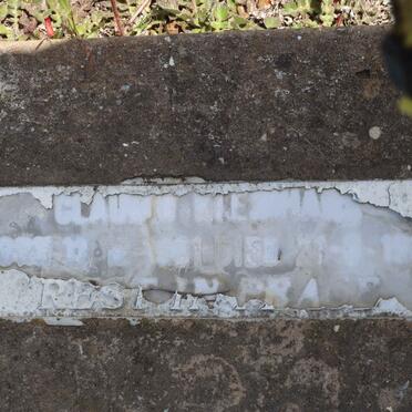 KLEINHANS Claudio 1981-1982