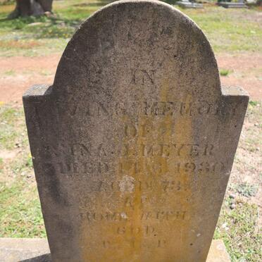 MEYER Sina J. -1930 _1