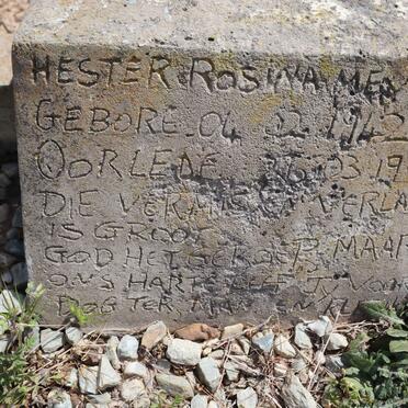 MEYER Hester Rosina 1942-1997