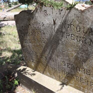 TREURNIET Cornelia Catharina 1897-1972 :: TREURNIET Nicolaas 1945-1970 _1