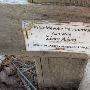 ADAMS Elaine 1977-2020