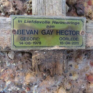 HECTOR Bevan Gay 1978-2011