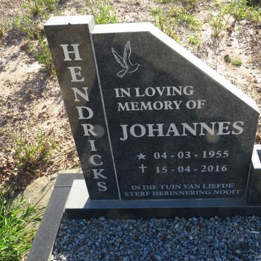 HENDRICKS Johannes 1955-2016