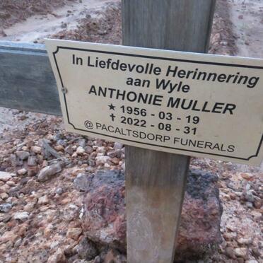 MULLER Anthonie 1956-2022