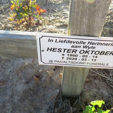 OKTOBER Hester 1960-2020