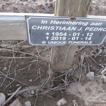 PEDRO Christiaan J. 1954-2019