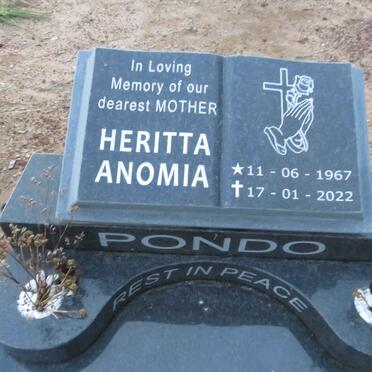 PONDO Heritta Anomia 1967-2022