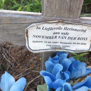 ROSS November, van der 1966-2020