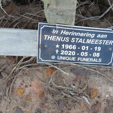 STALMEESTER Thenus 1966-2020