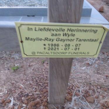 T - Vanne :: Surnames - T