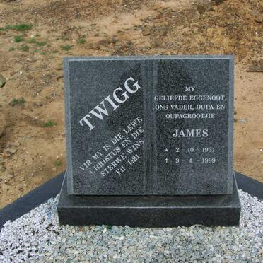 YG 548 Twigg James