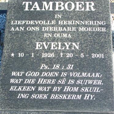 YS 97 Tamboer Evelyn