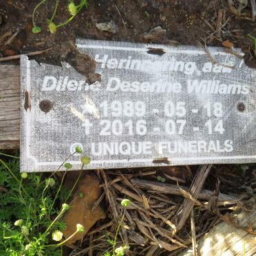 WILLIAMS Dilene Desenne 1989-2016