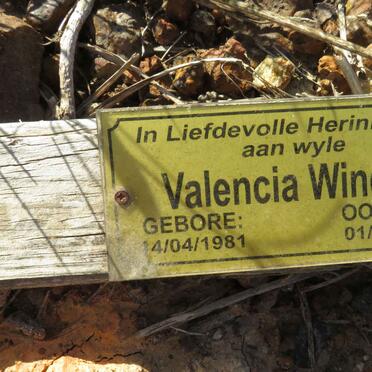 WINDWAAI Valencia 1981-2016