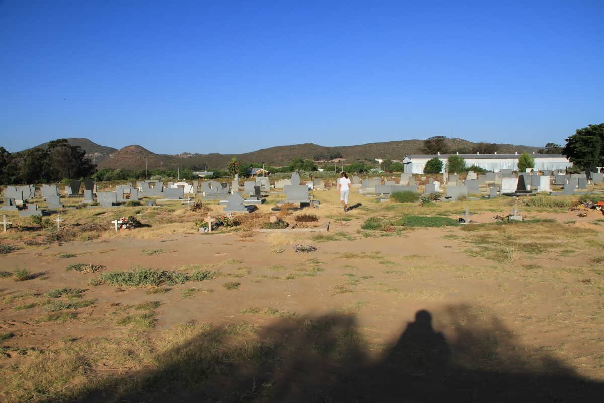 1. Overview