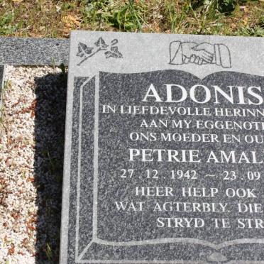 ADONIS Petrie Amalia 1942-2000