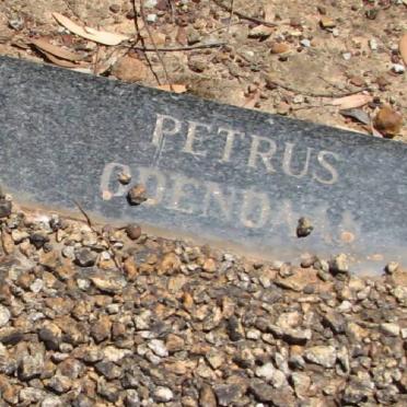 ODENDAAL Petrus 