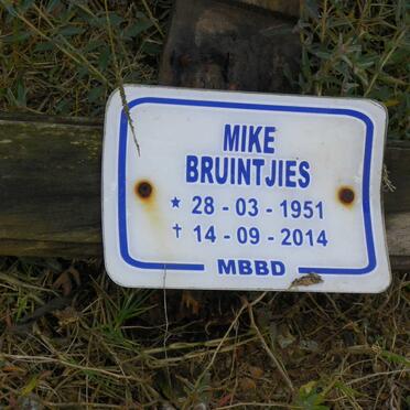 BRUINTJIES Mike 1951-2014