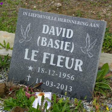 FLEUR David, le 1956-2013