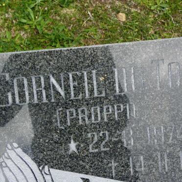 MEYER Corneil du Toit 1974-1992