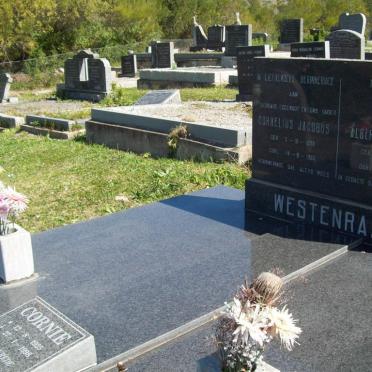 WESTENRAAD Cornelius Jacobus 1898-1968 &amp; Alberta Magdalena 1905-1983 :: WESTENRAAD Cornie 1925-1998
