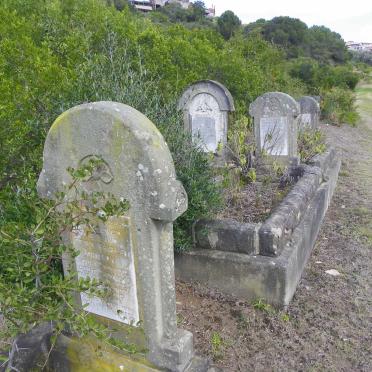 1. Overview of JOHNSON graves