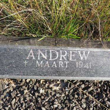 BATHGATE Andrew -1941 &amp; Rose -1961