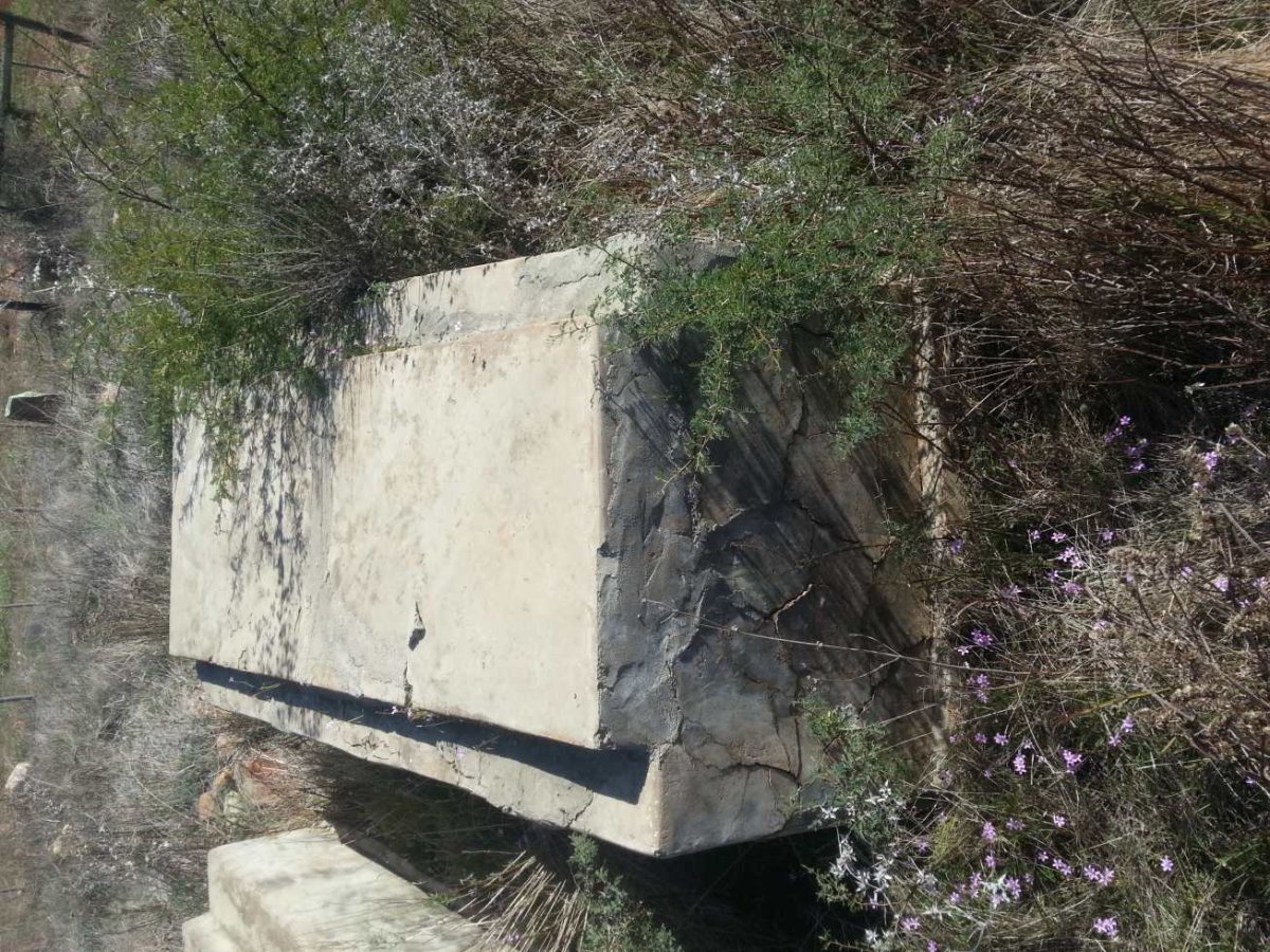 SERFONTEIN Aletta Johanna nee BRITS 1831-